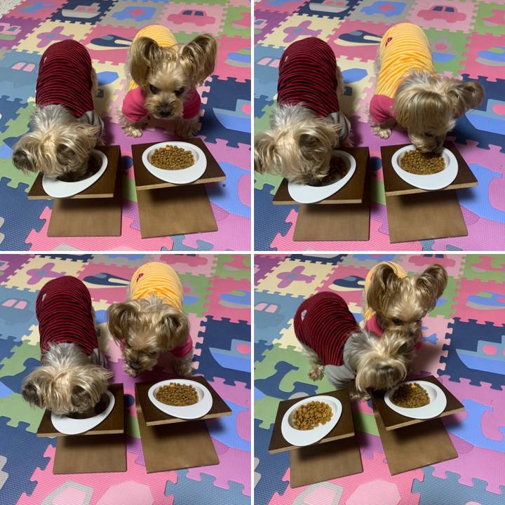 3b70cef4 d96a 48c3 bb99 76301060929c 1675159404813