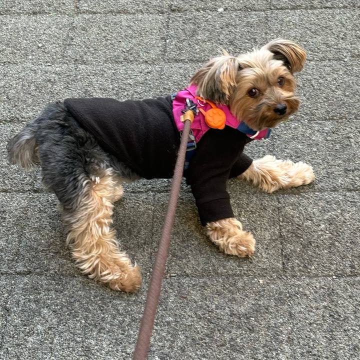 3b712e1d fb67 4ede 840e d648c18b7a0a 1770179809722