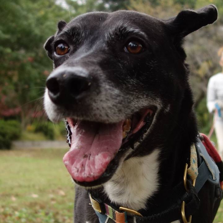 3b7132e5 bcad 439a 80dd d9cd0bebcc21 1729901117063