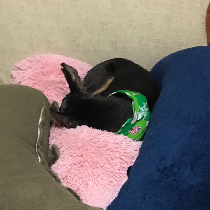 3b714c2f e5cf 4f7b 8d7a f08df3267085 1508423358040