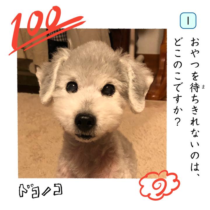 3b7156cc c456 4173 8bc1 0f8430152bd0 1744647320933