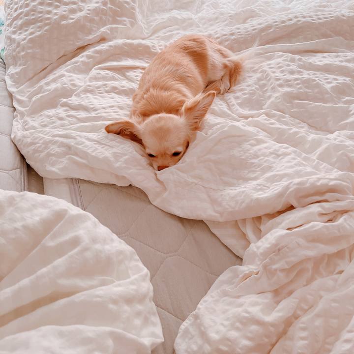 3b715aa6 0888 4f9e aa83 ebaa60cfb45e 1656454859971