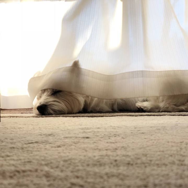 3b715e58 f189 45b5 91de 987253edcebe 1544624725381