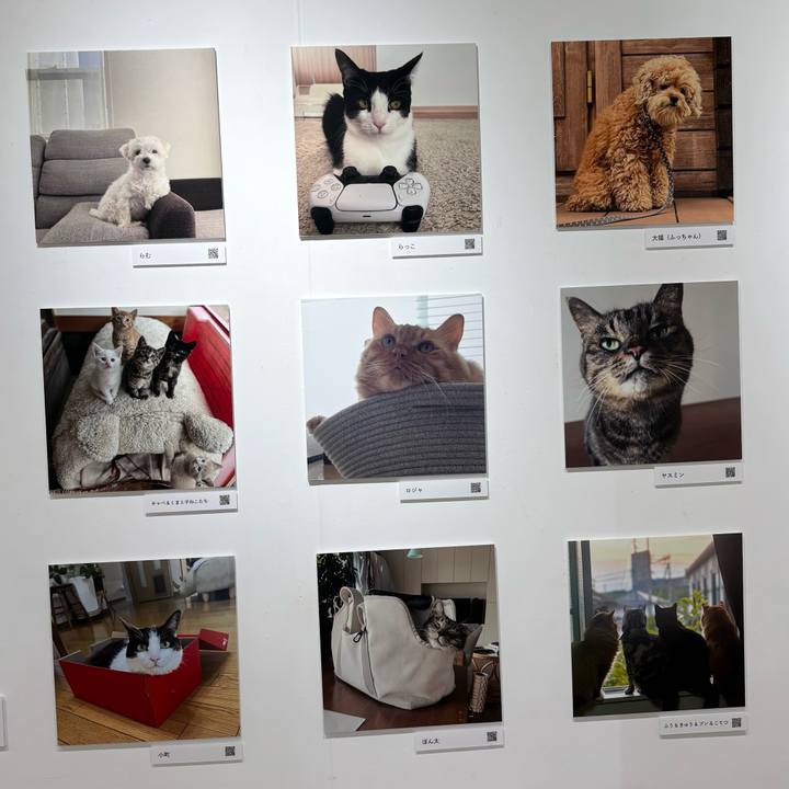 3b71916c 7ac0 40b1 91f1 63b622395ebc 1762079676227