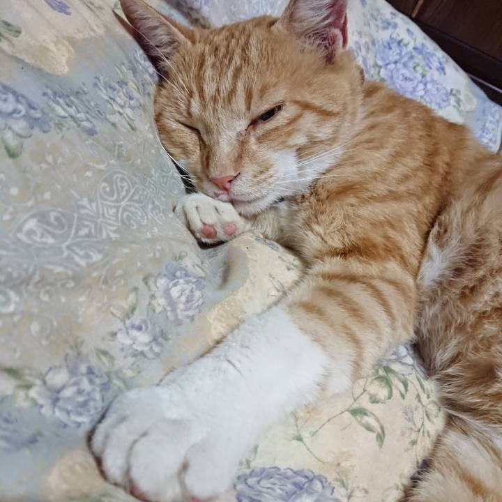 3b719586 1022 4c72 8a61 f03e226c1293 1562932753335