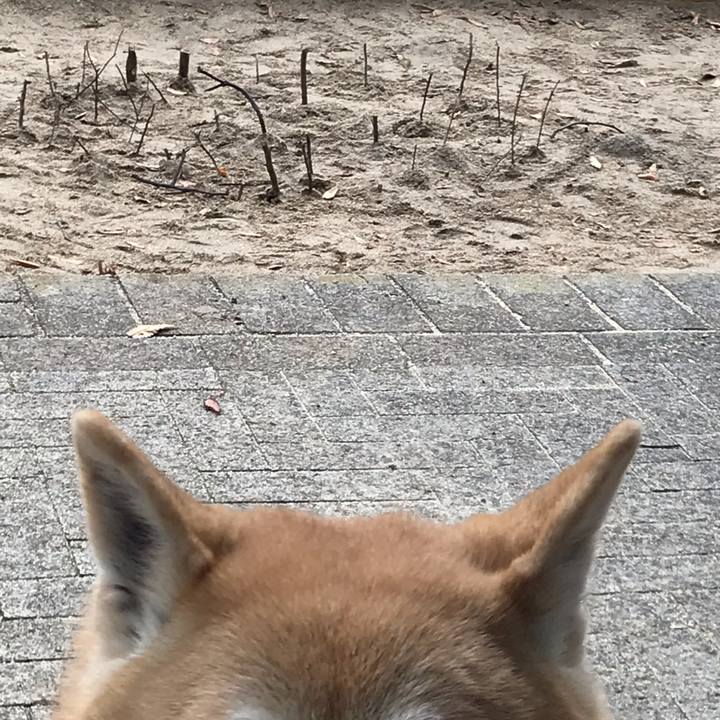 3b71c4fe b0f4 49a6 bcb6 f20b3c4e69b0 1543888490483