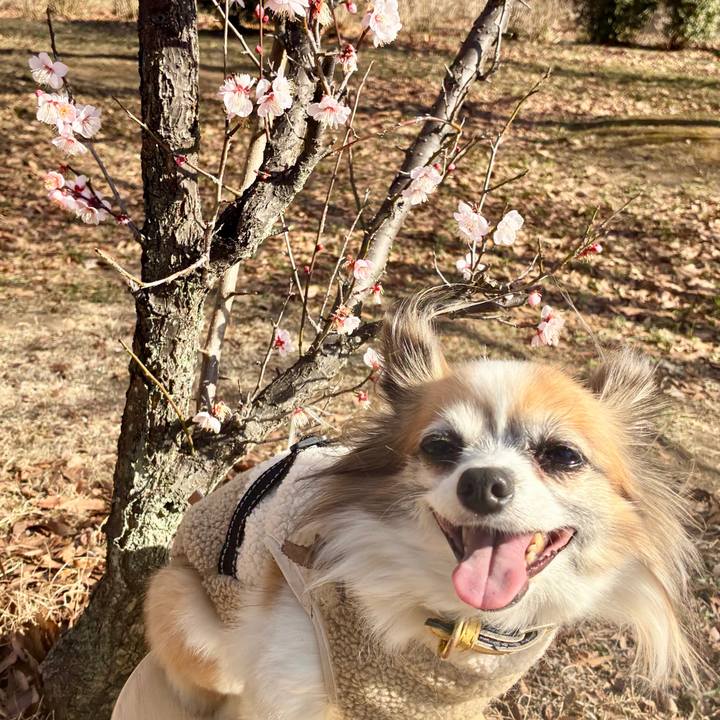 3b71dcbd 0234 4778 9f15 e2465f56a3aa 1768105996800