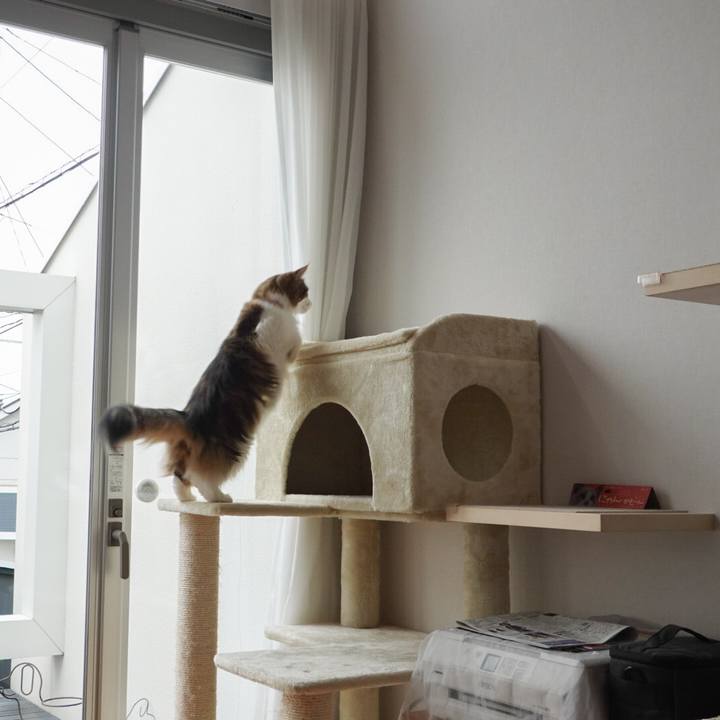 3b721023 bcdc 4e3a a544 a998c8765925 1600040109803