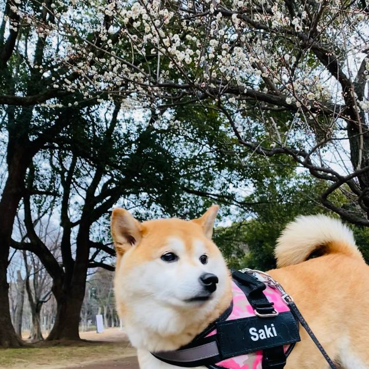 3b722153 6ae5 4e23 a49e 273d52458b8f 1645449124991