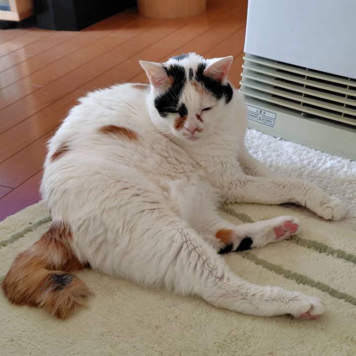 3b72386c c2b2 419e a367 59f21ceff55f 1774137874381