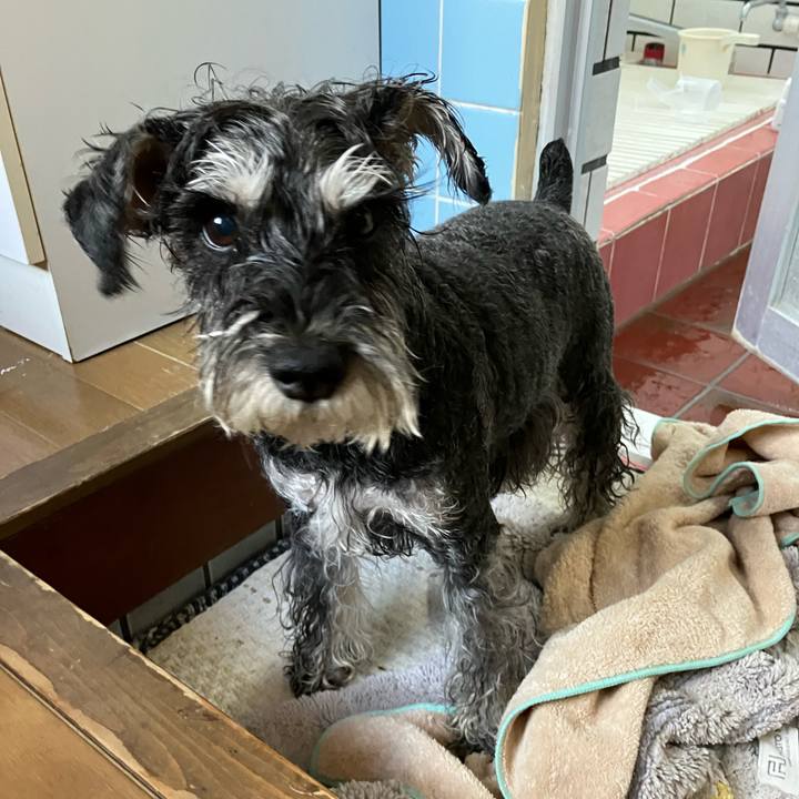 3b726dfb 3c95 41ef a42b d763d4379139 1736777584849