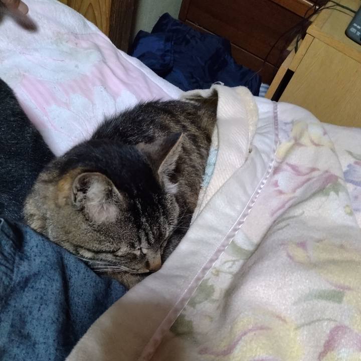 3b72832e d00c 405e 8663 bd199e37bfc3 1685709295017