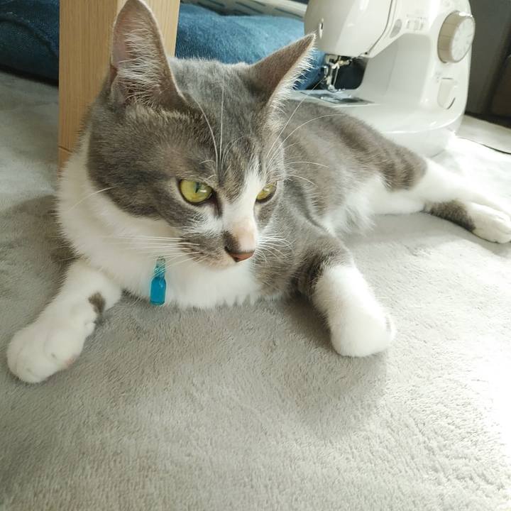 3b72958e cc73 4f14 a184 8335f810b152 1593213364295