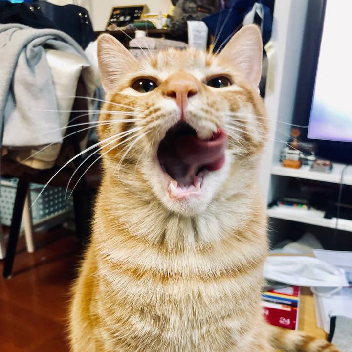 3b72a69d a24e 4222 b736 93c99a2c5ab8 1583939962732