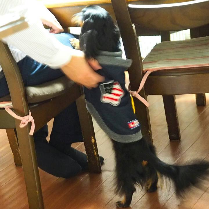 3b72c3ca c8eb 48c0 9380 ebca51cae42b 1513688152642