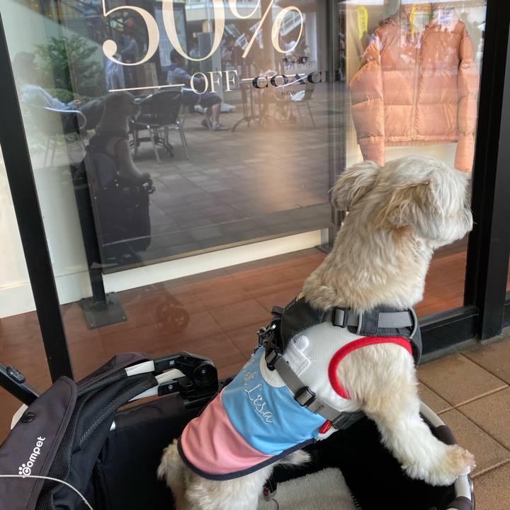 3b72c4d2 0221 4726 9a9a a74444e9cc55 1571548162551