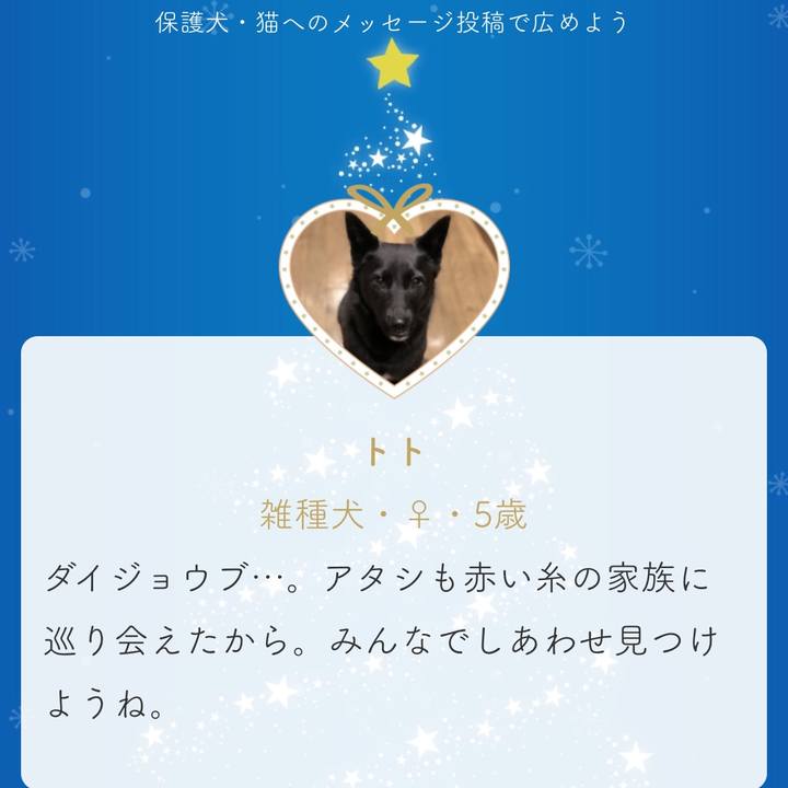 3b731a98 29fa 49c0 9274 b7c8367d6de4 1544346324628