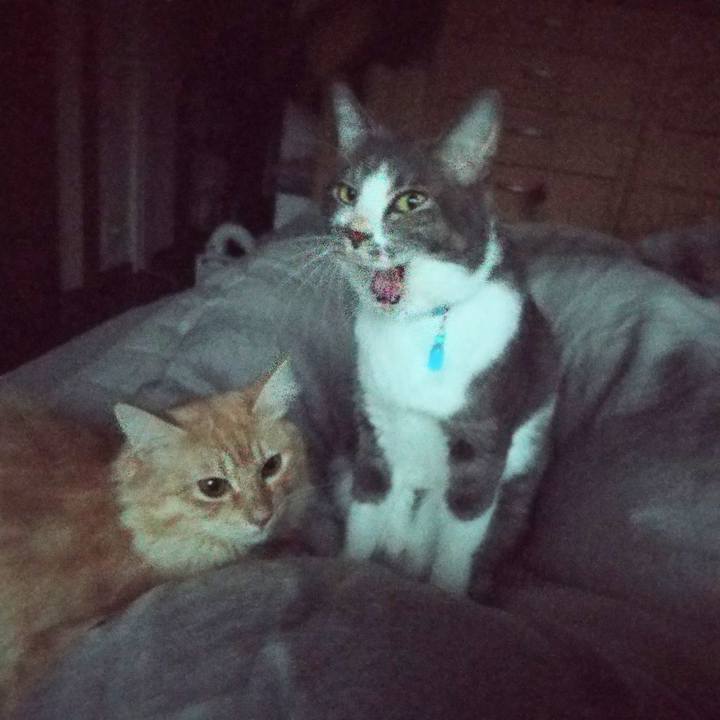 3b731cb3 66de 4452 a73f 09cb37bec49d 1635343367206