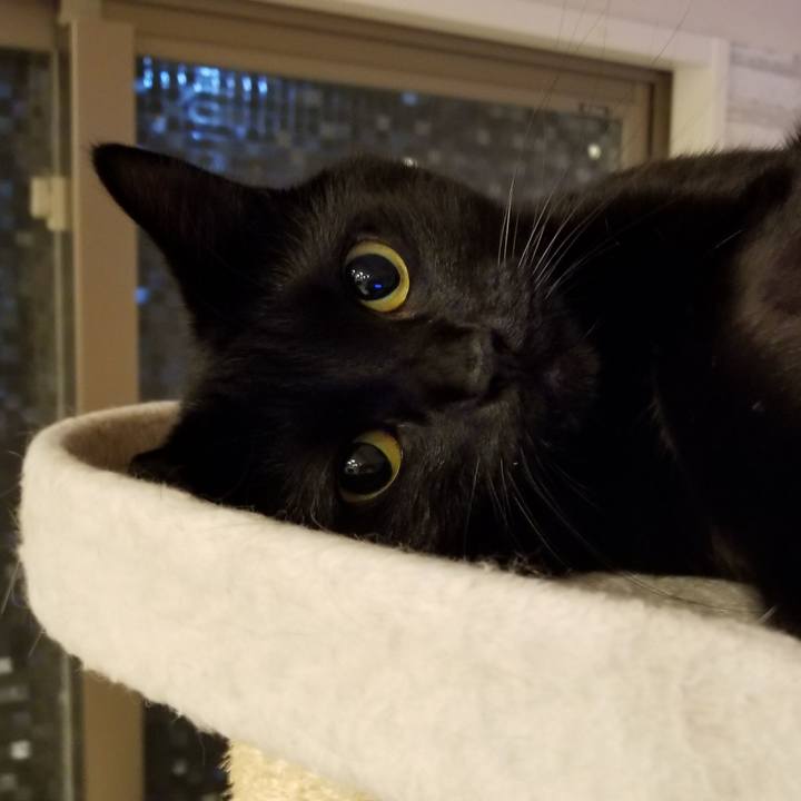 3b73588f d542 431d 86cc 6a96236a75e9 1583075132666