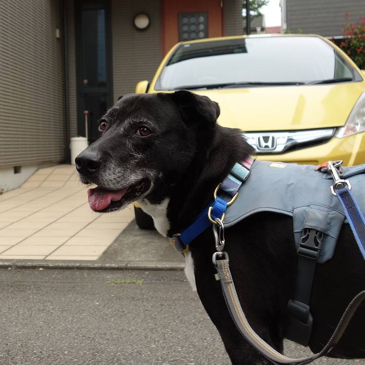 3b73c534 fe7f 4b8d afd4 634668c28e47 1749346839621