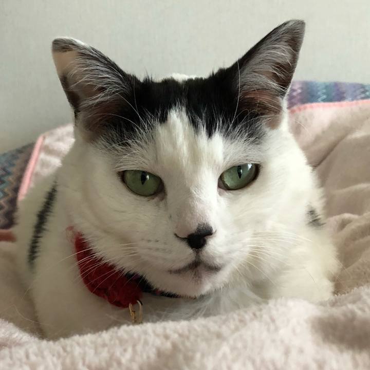 3b73df86 dce4 4382 b32e 9ac4d2d2353a 1523231440866