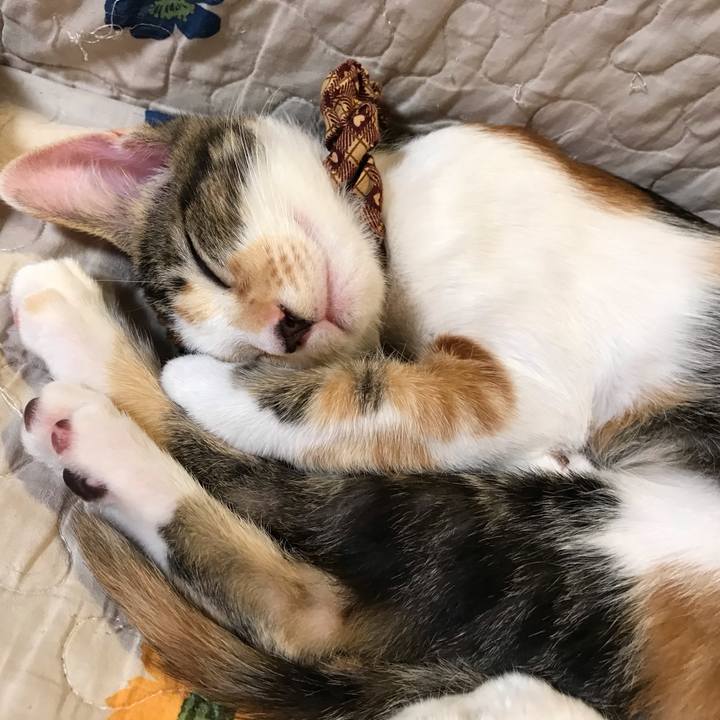 3b73e85a 4cca 4ded 9962 2bfda2f61db6 1601290833583