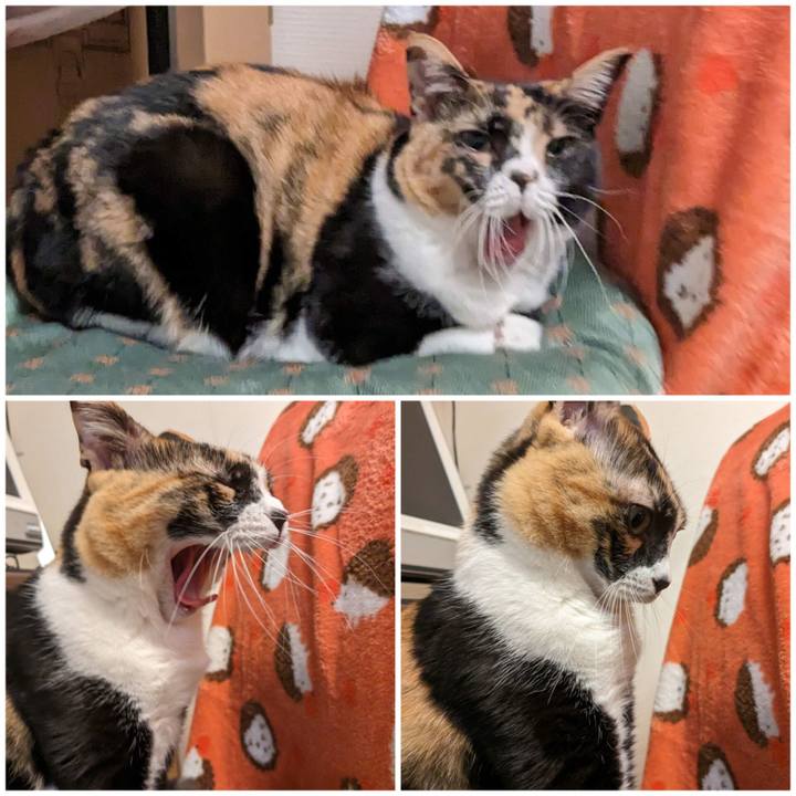 3b73f680 b7c6 4026 8a33 5c1a594dc082 1672815090650