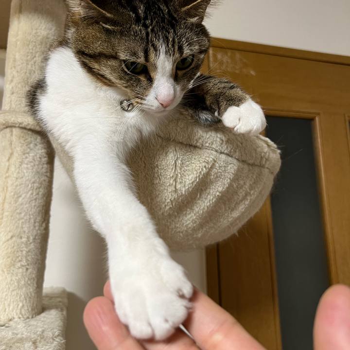 3b73f7af 49e0 49dd 95ed adee0abe0f7e 1715600309798