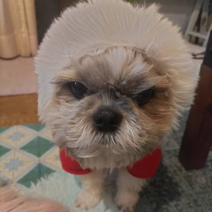 3b73fd95 5048 4dab a501 fdb699ea99c2 1766583670281