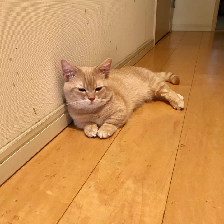 3b740fac e3f4 4754 ac7d 25a813b6d5eb 1524228214649