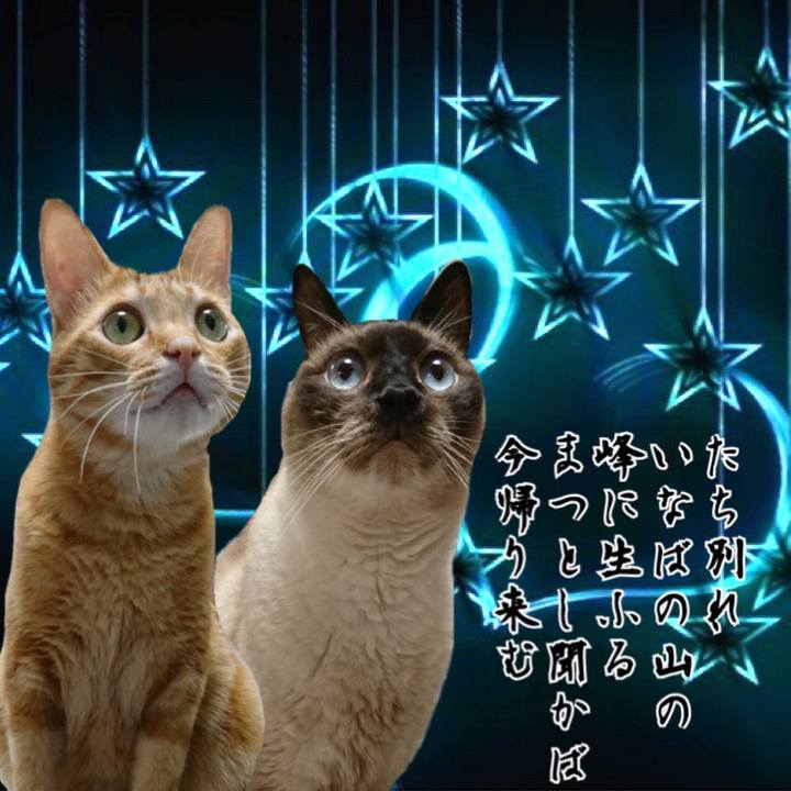 3b746efa c536 4177 a58a aba3d92bfc33 1563549128811