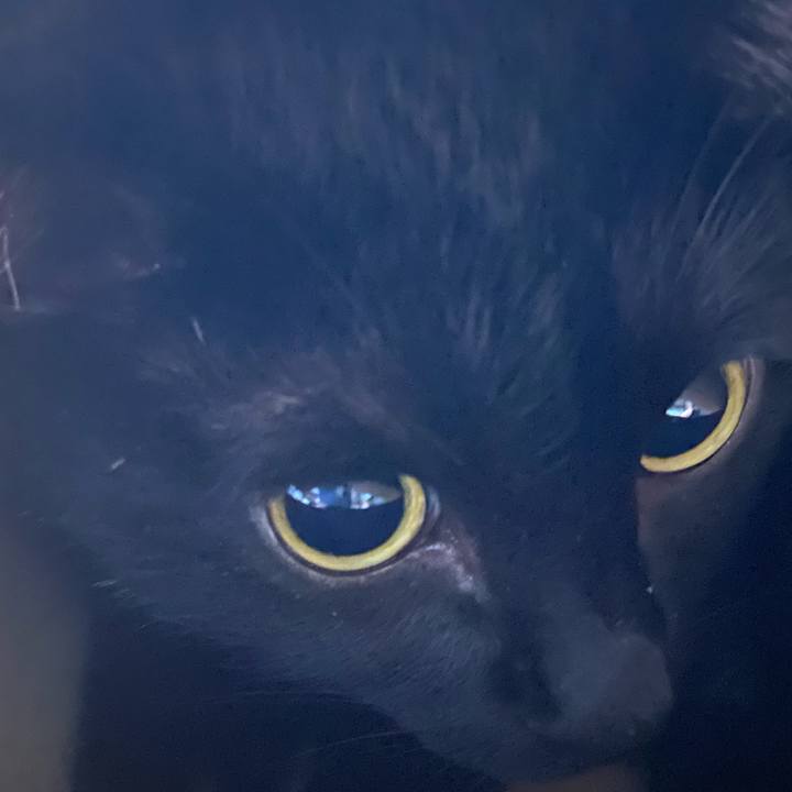 3b748ee8 f115 43c6 94c7 c4a768eff651 1631879873986