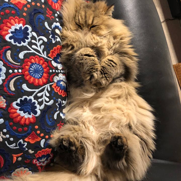 3b749c2e 26d4 41fe abf6 a18b700b5893 1577621334793