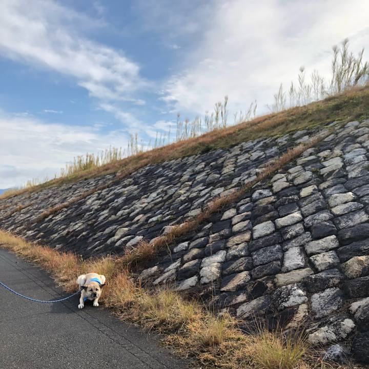 3b74dfb2 9f6d 4f38 b49f 4c9d51c4b2e0 1580025517676