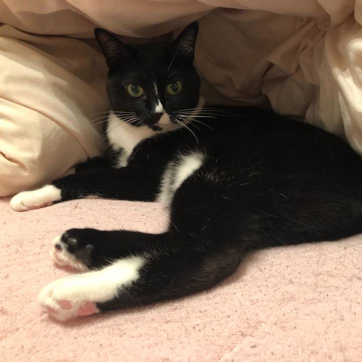 3b74e5ff 435f 45d5 b16d b0af0d2e74d1 1566772543744