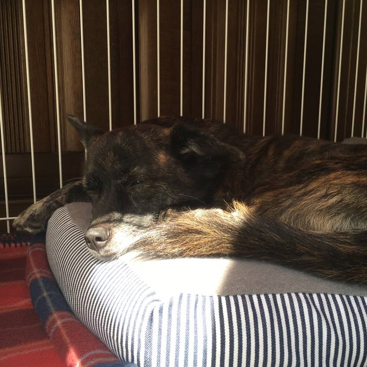 3b74ef56 3a79 4880 8065 d728707c4eeb 1538363361011