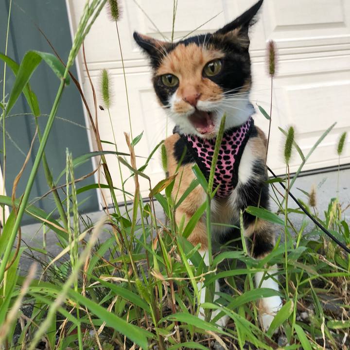 3b74f23b 89ad 4b09 aaf6 699bebd1b24f 1535622910412