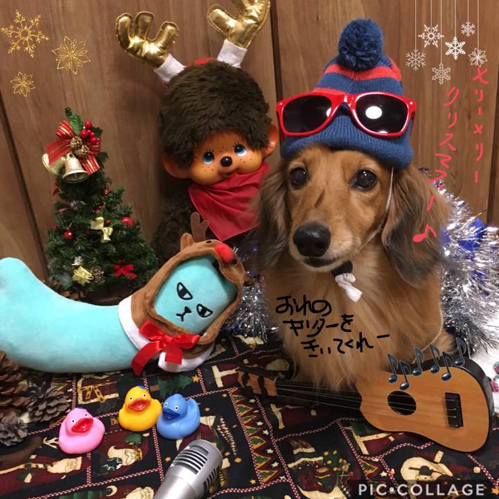 3b752b66 5151 4cd6 9899 4403c39a9288 1513424014764