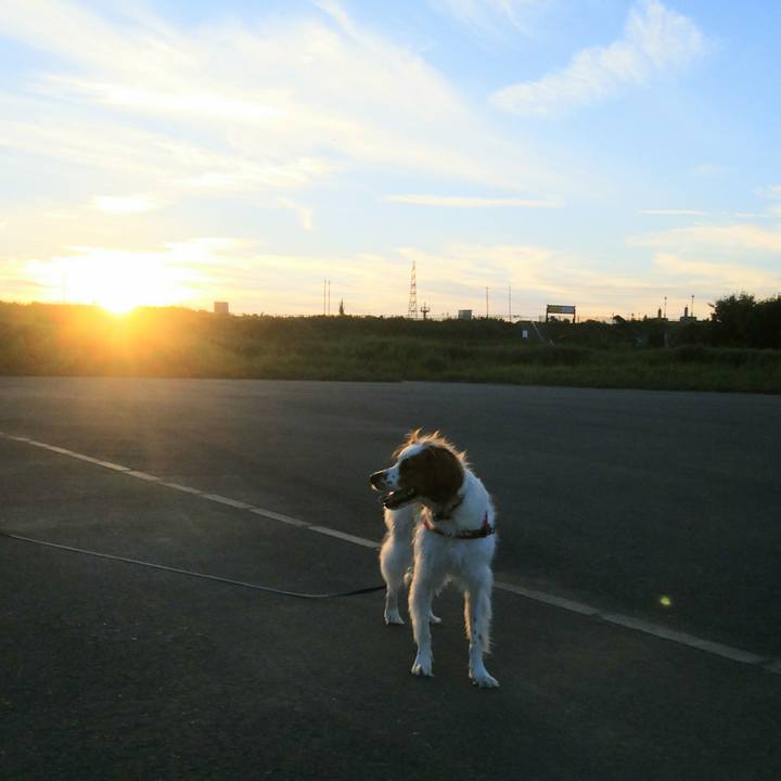 3b7542d3 eb3b 41a9 b837 2f95633c550d 1535283461473