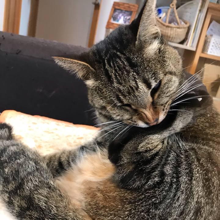 3b7563bd 776d 4579 89d5 e872aa38477f 1614332825792