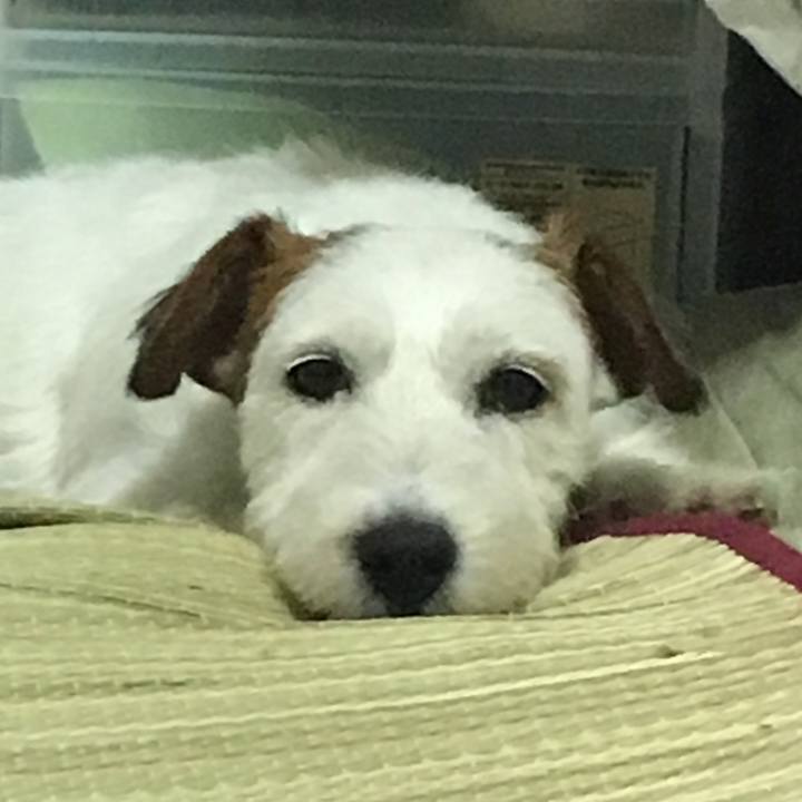 3b757792 97ef 49d0 9489 fd69c4333050 1533287391290