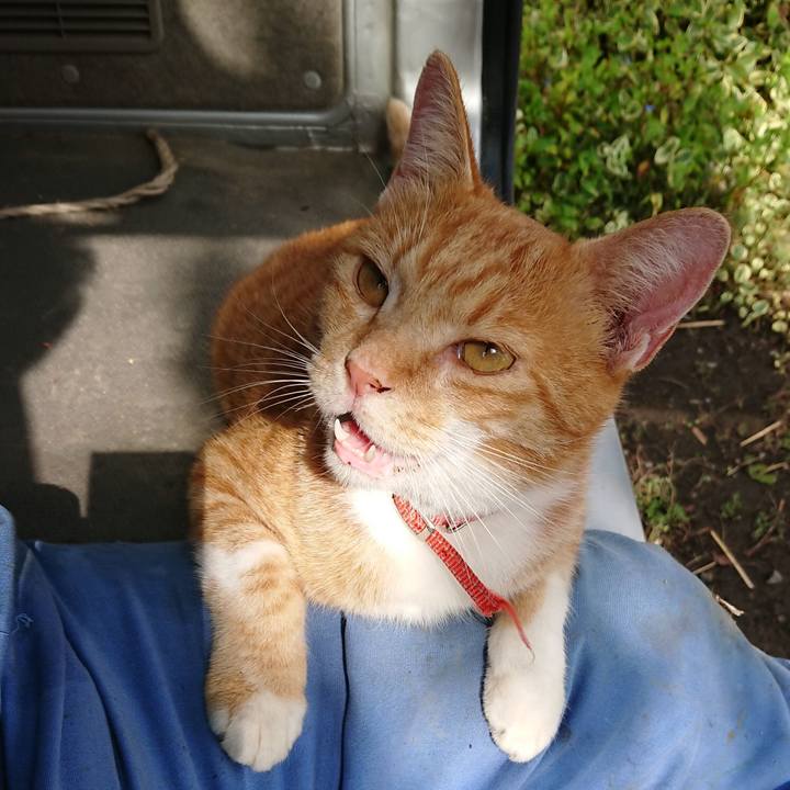 3b7578aa ce1d 49f8 a6e6 71066bb2ba9b 1570239610252