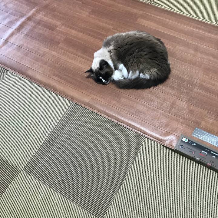 3b75a606 683e 4cc9 a06b 67613e5ddfee 1516226911401