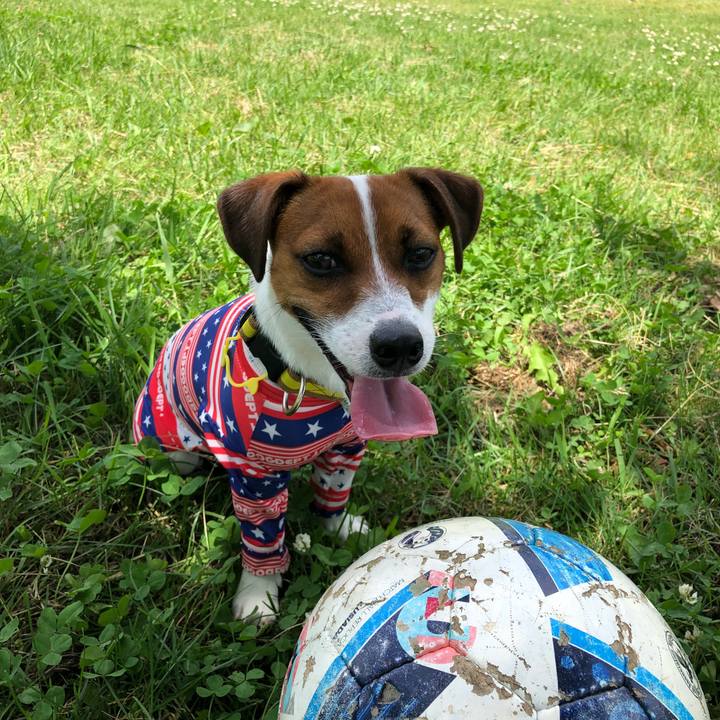 3b75c990 9934 4f11 9b38 8cf9dd30eb41 1530328566632