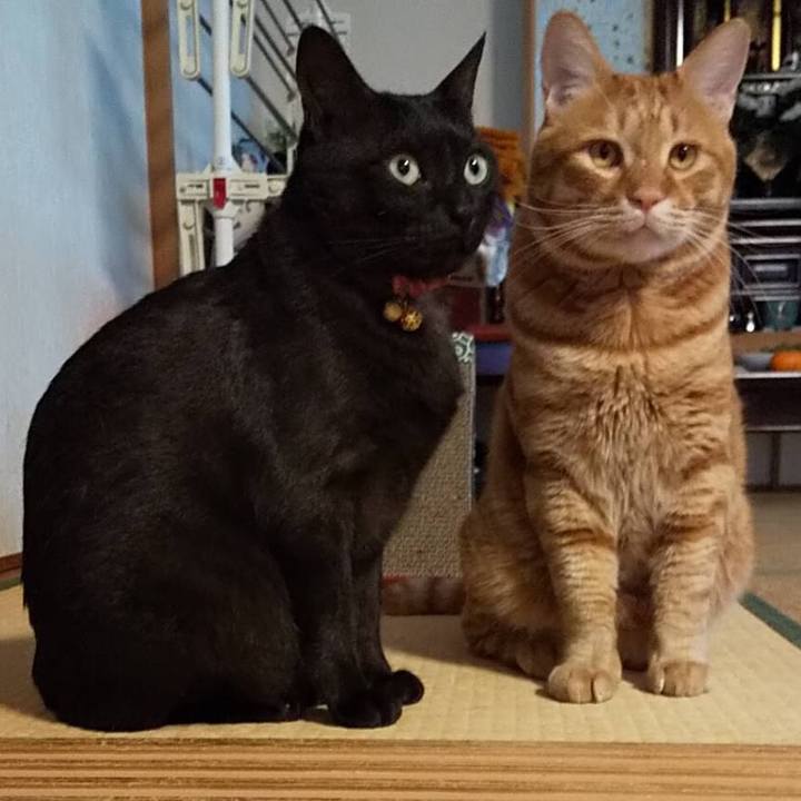 3b75ccdd eff7 4823 964f bd8c3a20854e 1571910351603