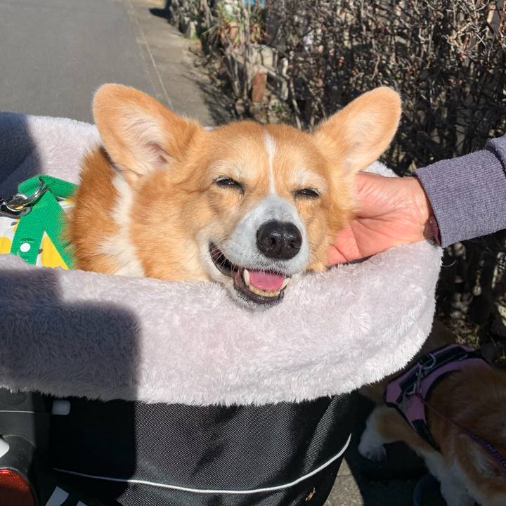 3b75e0d2 2fed 4653 8140 432bc7ecaf83 1706505609448