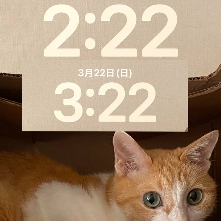 3b760b0a 7def 41d2 a9a7 08c600af956f 1774160997753