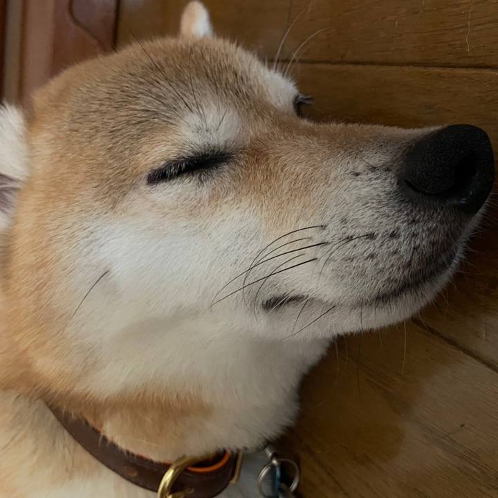 3b763a83 aa97 46e6 b7e4 6670c05c2b96 1604309156585