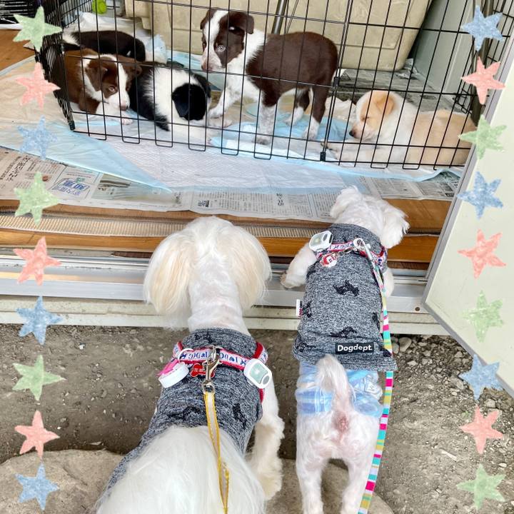 3b764d60 9c2c 42ff 9553 61898be84032 1637559094835