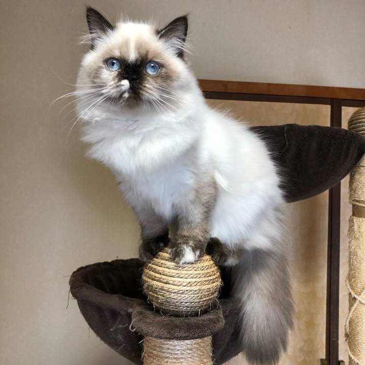 3b766936 e89c 4fdb acdf 9418c174a118 1634997612714